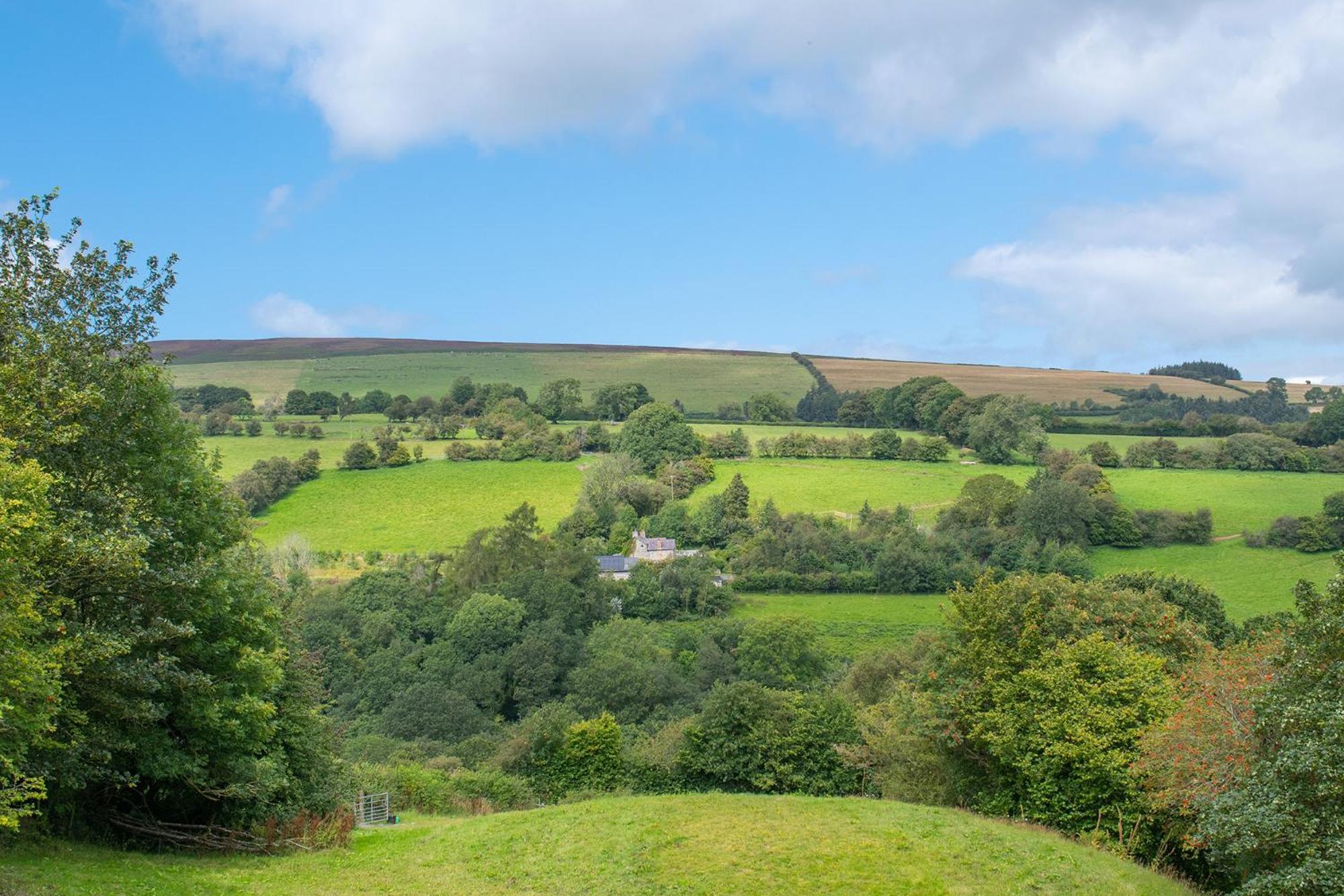 Вилла Cefn Ceiriog Лланголлен Номер фото